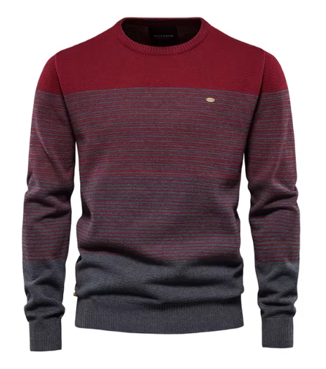 MIRAVO | Robust Men's Sweater